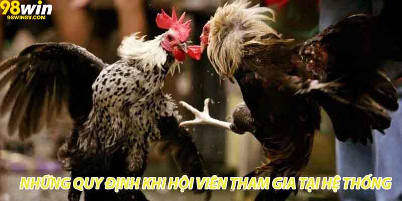 Những quy định khi hội viên tham gia tại hệ thống 